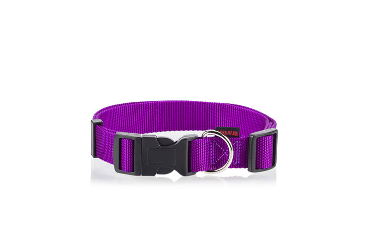 Pet interest Collars