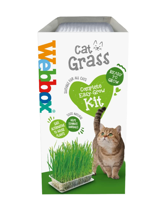 Cat grass