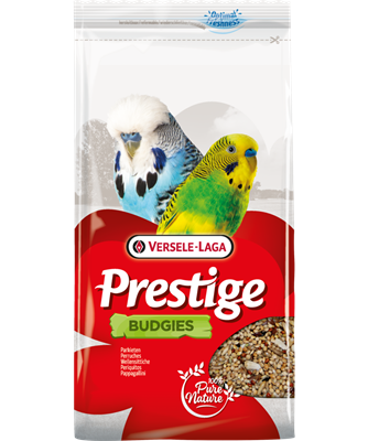 Prestige Budgies