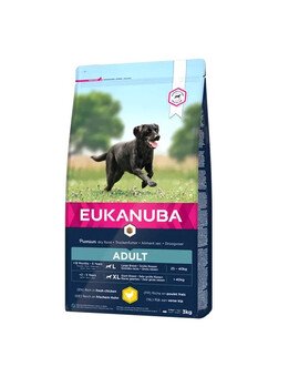 Eukanuba Adult Large Chicken