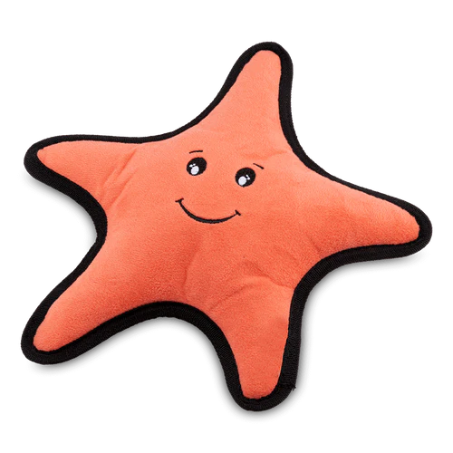 Rough and Tough Starfish