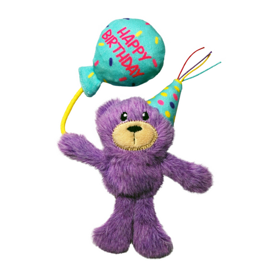 Occasion Birthday Teddy