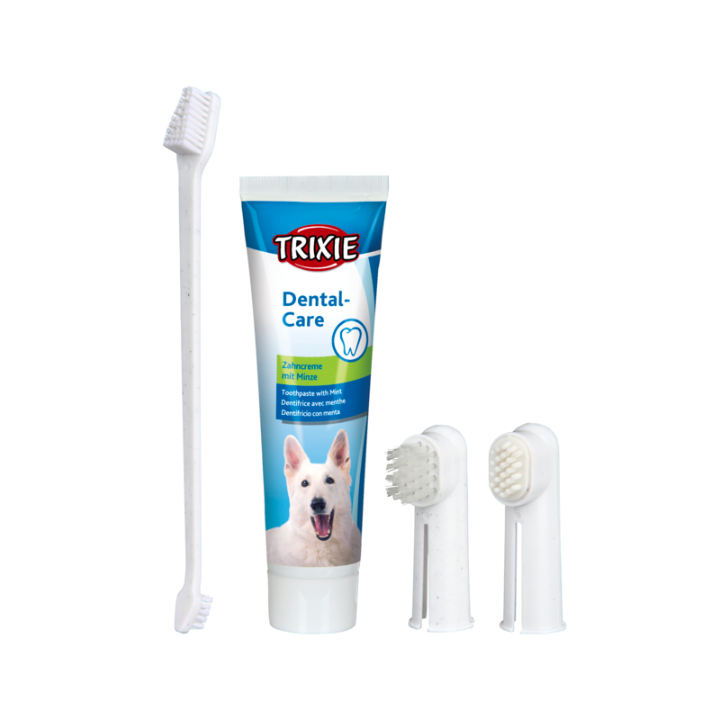 Dental Care Set