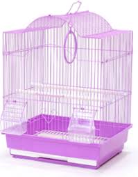 Purple Cage