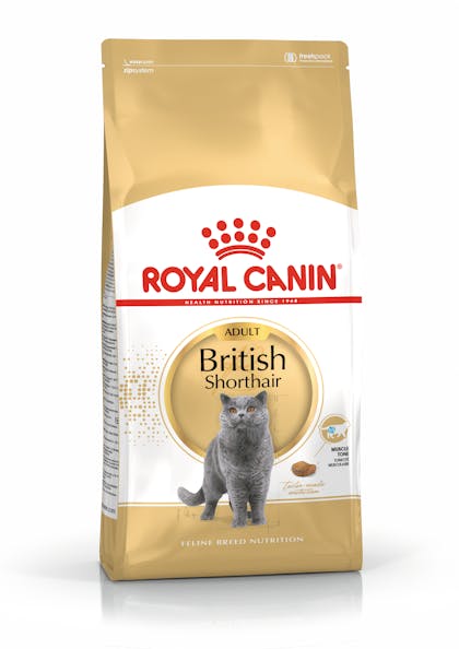 British Cat