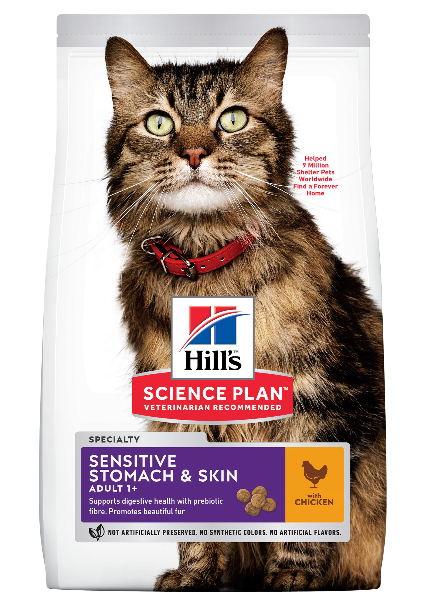 Adult Sensitive Stomach & Skin Cat