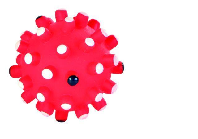 Hedgehog ball, vinyl.